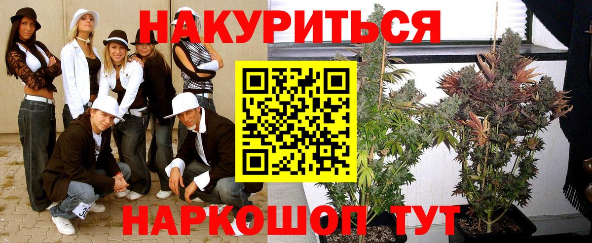 Канабис семена  Вход с VPN  Конопля MAZAR  Шали 